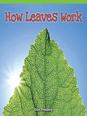 cover image of How Leaves Work